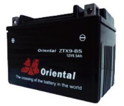ORIENTAL ZTX9-BS